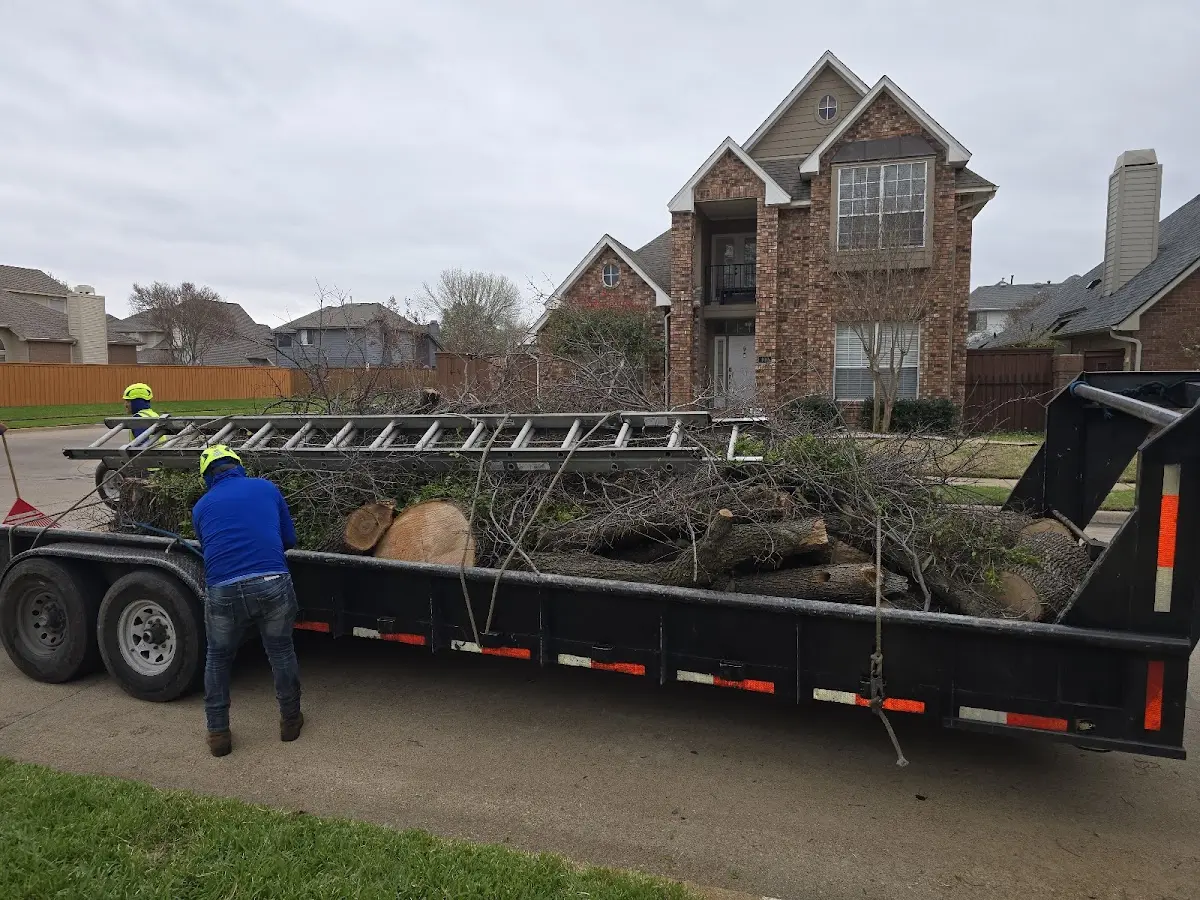 Expert Lot Clearing with proper safety equipment in Canon